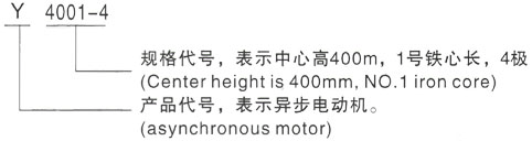 西安泰富西玛Y系列(H355-1000)高压YKK500-8B三相异步电机型号说明