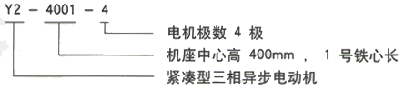 YR系列(H355-1000)高压YKK500-8B三相异步电机西安西玛电机型号说明